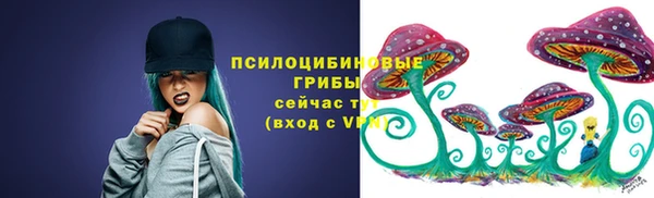 прущая мука Абаза