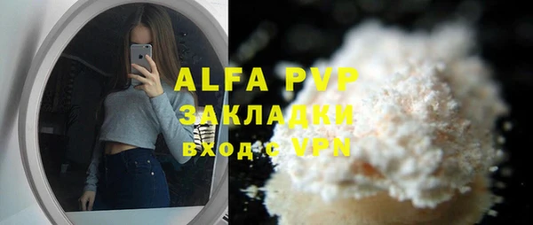 шишки Новозыбков